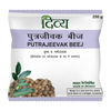 Divya Putrajeevak Beej Powder