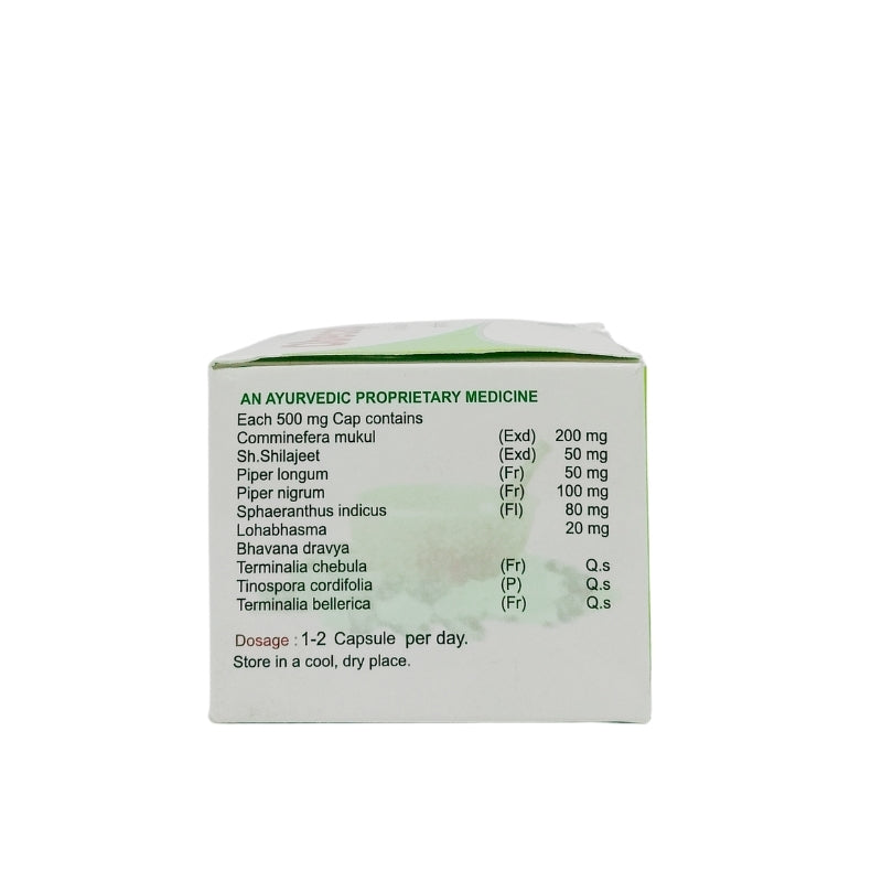 Four S Lab Obecap Capsules