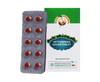 Vaidyaratnam Vettumaran Gulika Tablets